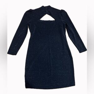 Black Shimmery Plus Size Dress